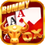teen patti neta apk